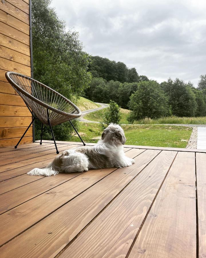 Mini Valley House 1 Sita Buzăului Εξωτερικό φωτογραφία